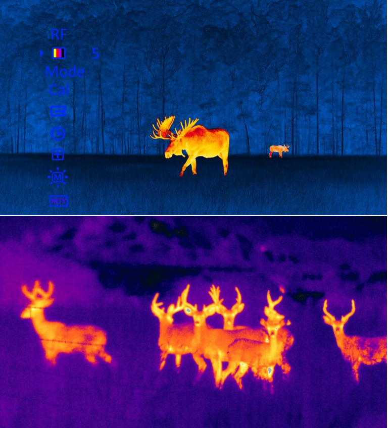 Как выбрать тепловизионный монокуляр для охоты