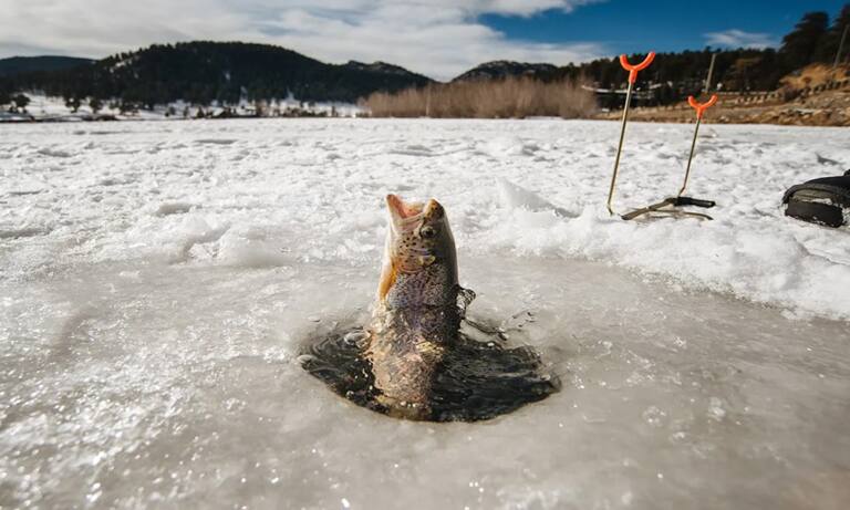Зимняя рыбалка и выживание: Как поймать рыбу без специального снаряжения