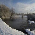 С подсадной в начале сезона