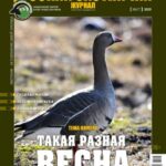 Такая разная весна. «Русский охотничий журнал», №3 март 2025