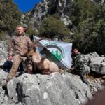 Списки підвидів: доповнення та уточнення
