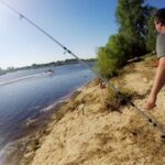 Підліщики та лящі брали тільки на сало