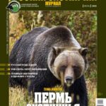 Перм мисливська. «Російський мисливський журнал», №6 червень 2025