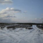 Вальдшнеп-2025: не треба плутати «прилетів», «пролетів» та «почав добре тягнути»!