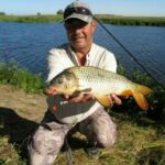 Чим сазан відрізняється від коропа. Частина 1. Спосіб життя «кабанів».