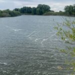 На одинадцяти самоловах нарахували 1254 гачки