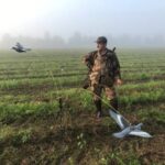 Проблеми та перспективи полювання на вяхиря в Нижегородській області