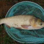 Жовтневий день та година ікс