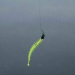 Що краще – помаранчевий твістер чи червона вагачка?