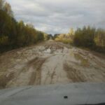 Непередбачуваність вальдшнепиних висипок