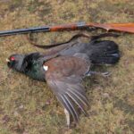 Що ми знаємо про культуру полювання? Від підранку до побутового сміття