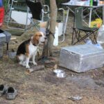 Про ціни, угіддя та путівки