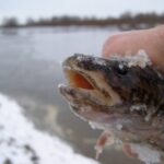 Риболовні новини Білорусі