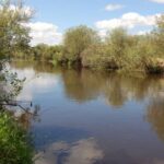 Особливості лову на осінній річці