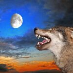 Діти під замком. Карелія і Архангельськ знову оточені вовчим виттям