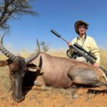 Намібійські антилопи та бура гієна