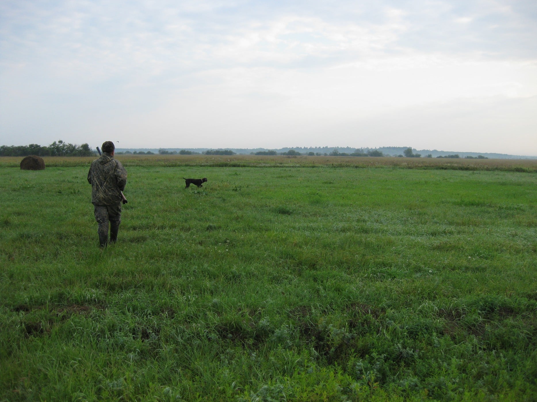 Вибір помічника «під рушницю»