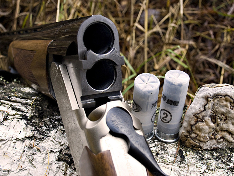 Новий закон про зброю: що зміниться для мисливців та спортсменів РФ