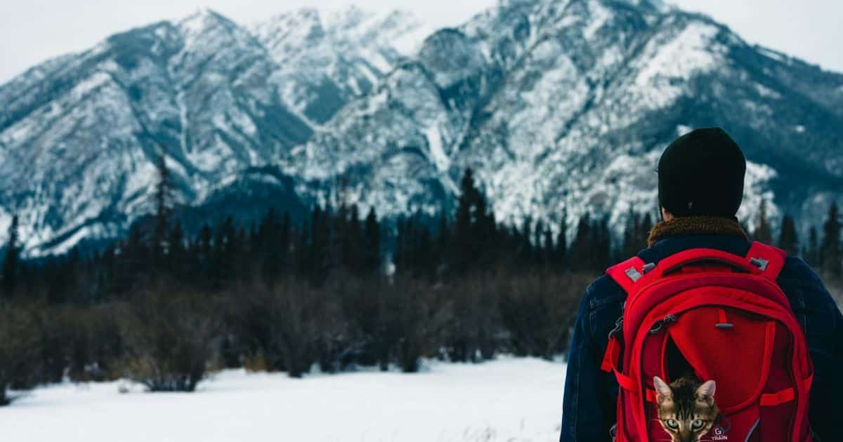 Журналіст травмувався в горах Норвегії