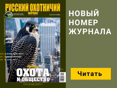 Баннер журнала мобильный