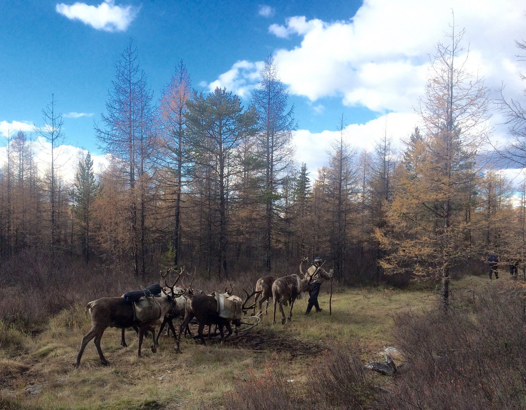 Мисливець очима тих, хто поряд