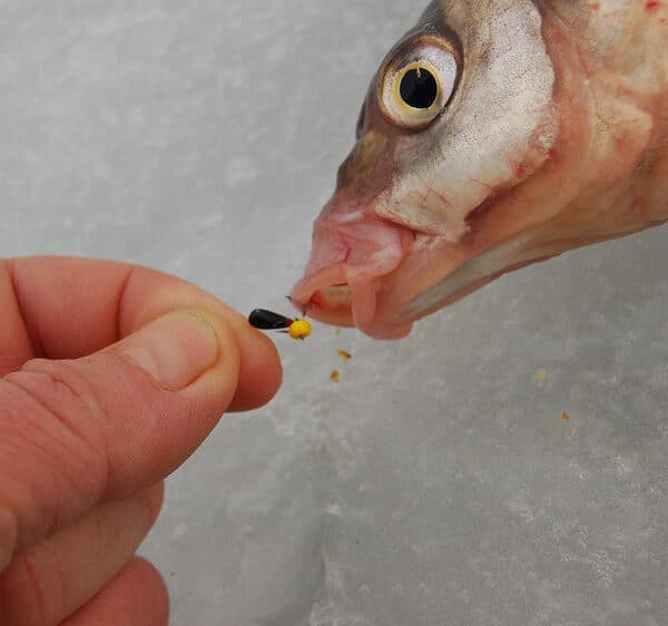 Кожна блешня має своє призначення