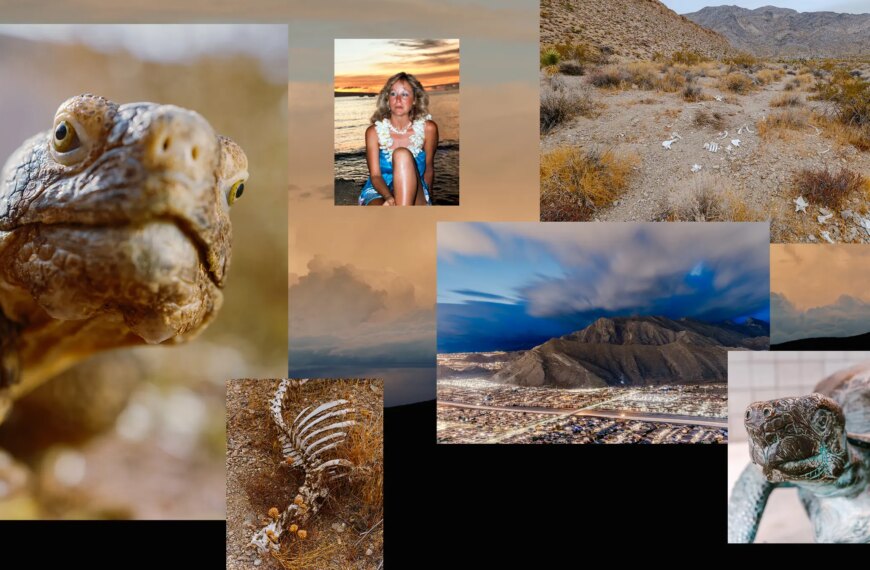 Слідопити за черепахами, які знайшли людські кістки в пустелі