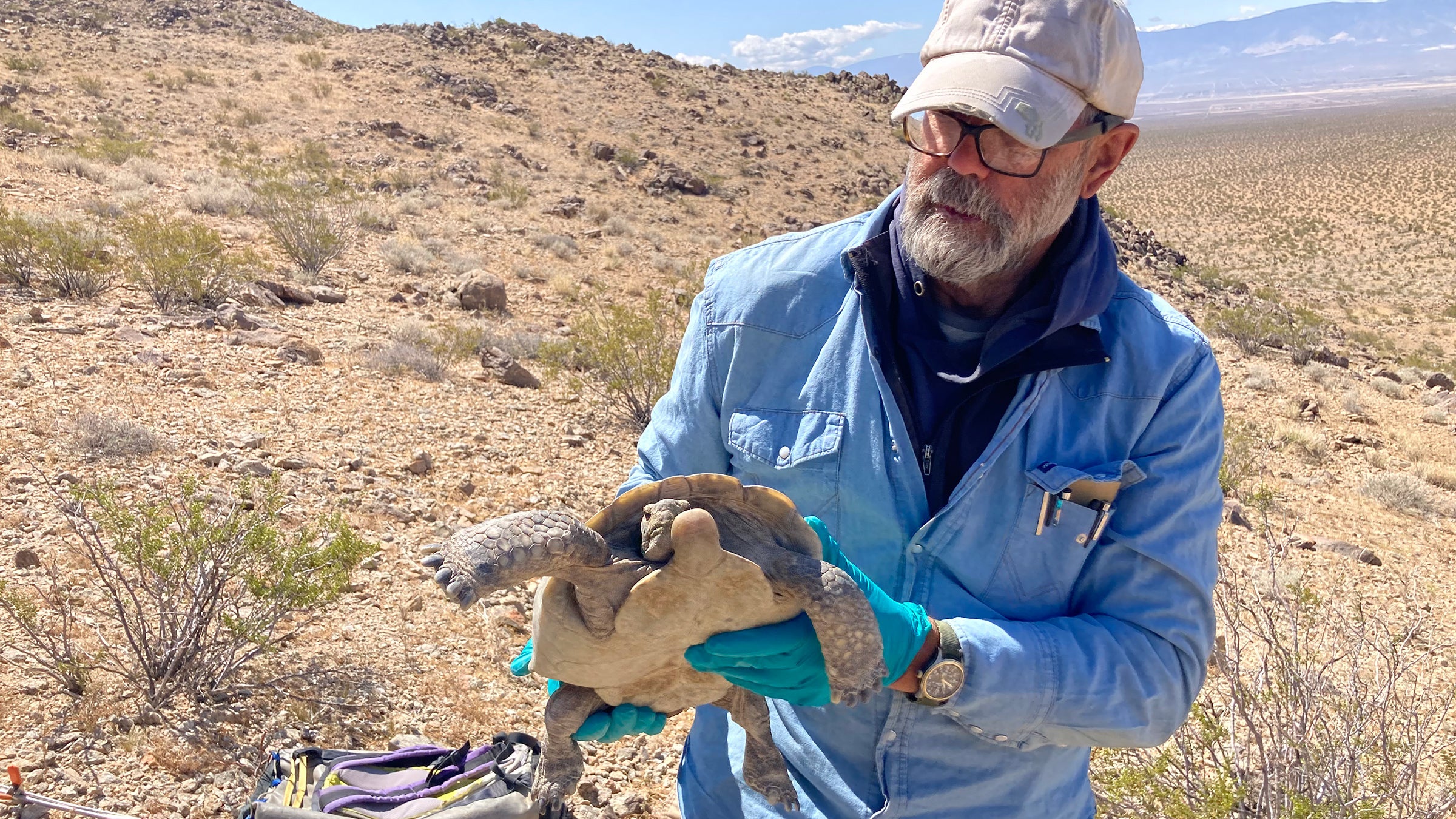 Пол Франк у Мохаве у травні 2023 року