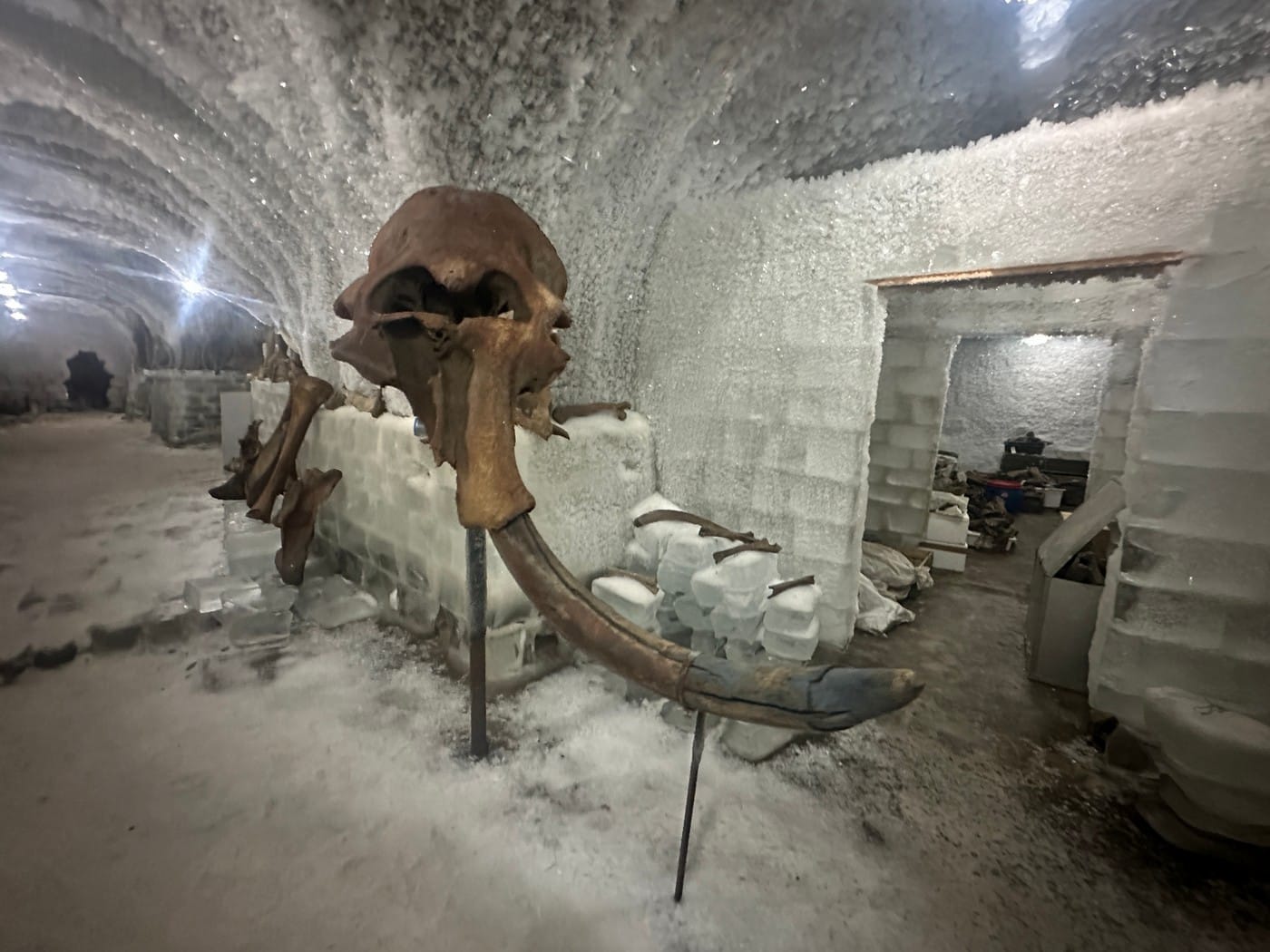 Подорож у пошуках Таймиру