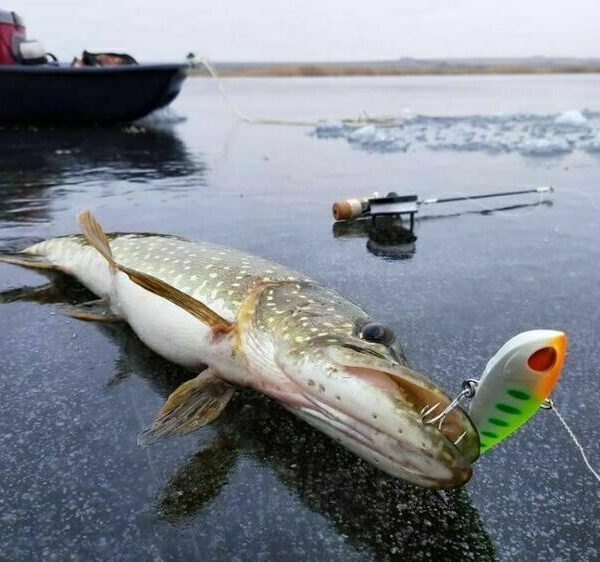 Хрещенські рибалки (закінчення)