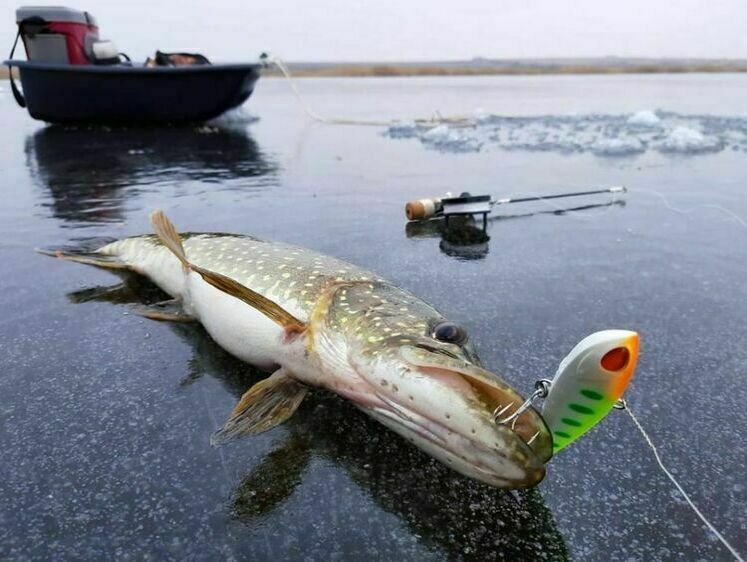 Зображення Водохрещі (закінчення)