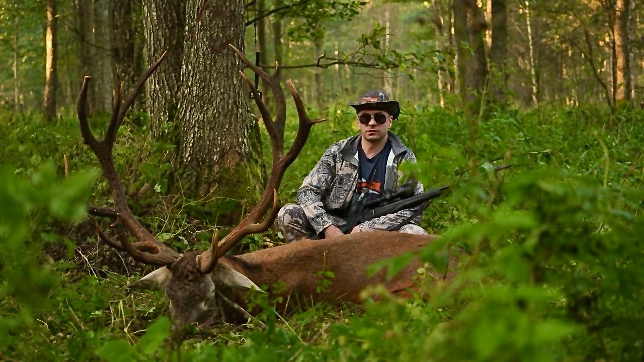 Білорусь: традиції полювання та полювання як галузь господарства