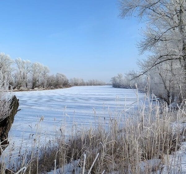 Перший лід та новорічний настрій
