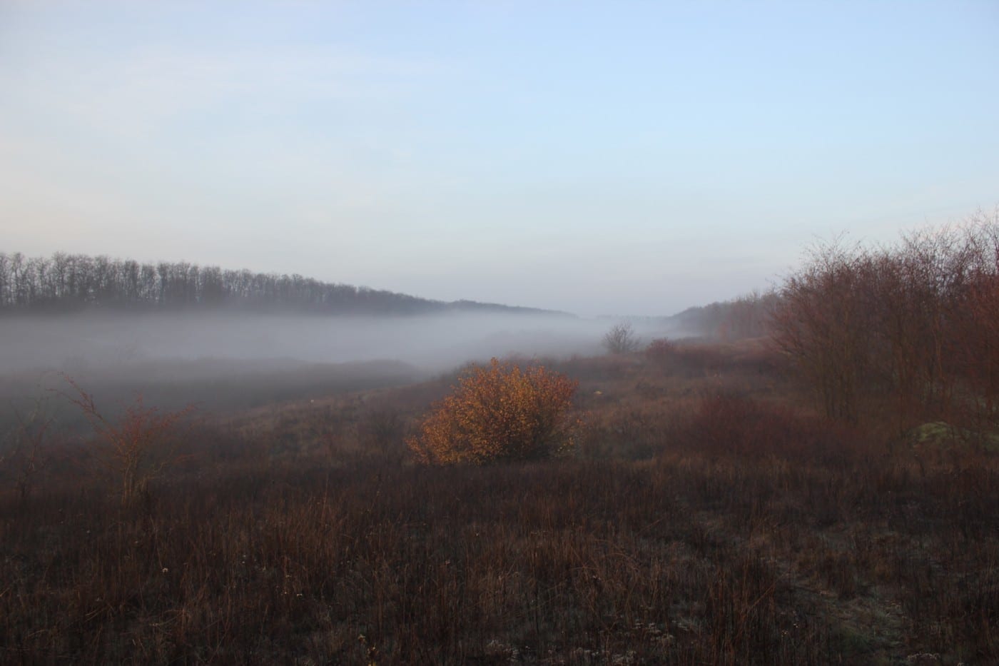 Зайчики, качечки та новорічні полювання