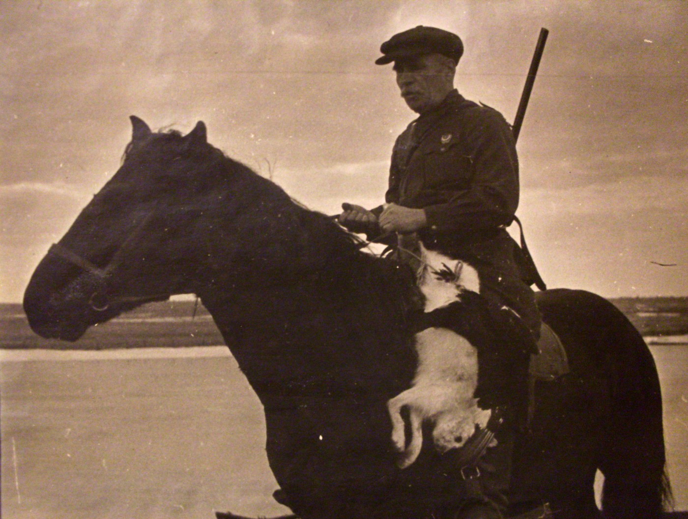 Новіков-Прибій: доля в морських вузлах