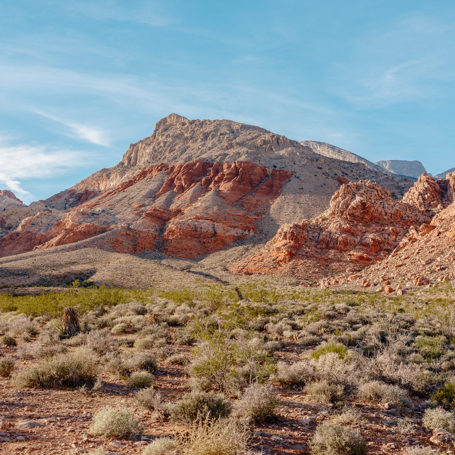 Пустеля Мохаве за межами Лас-Вегаса