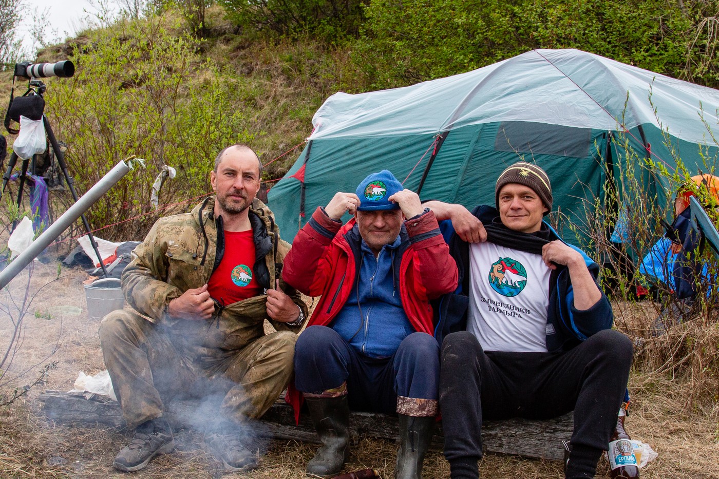 Край дикого північного оленя: від колишньої великої кількості до нагальної потреби