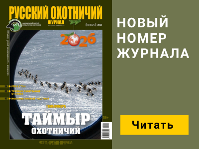 Баннер журнала мобильный