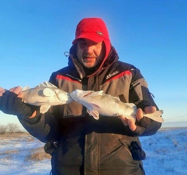 Рибальські звістки з Волгограда