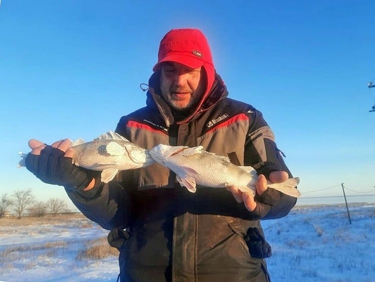 Зображення Рибальські вісті з Волгограда