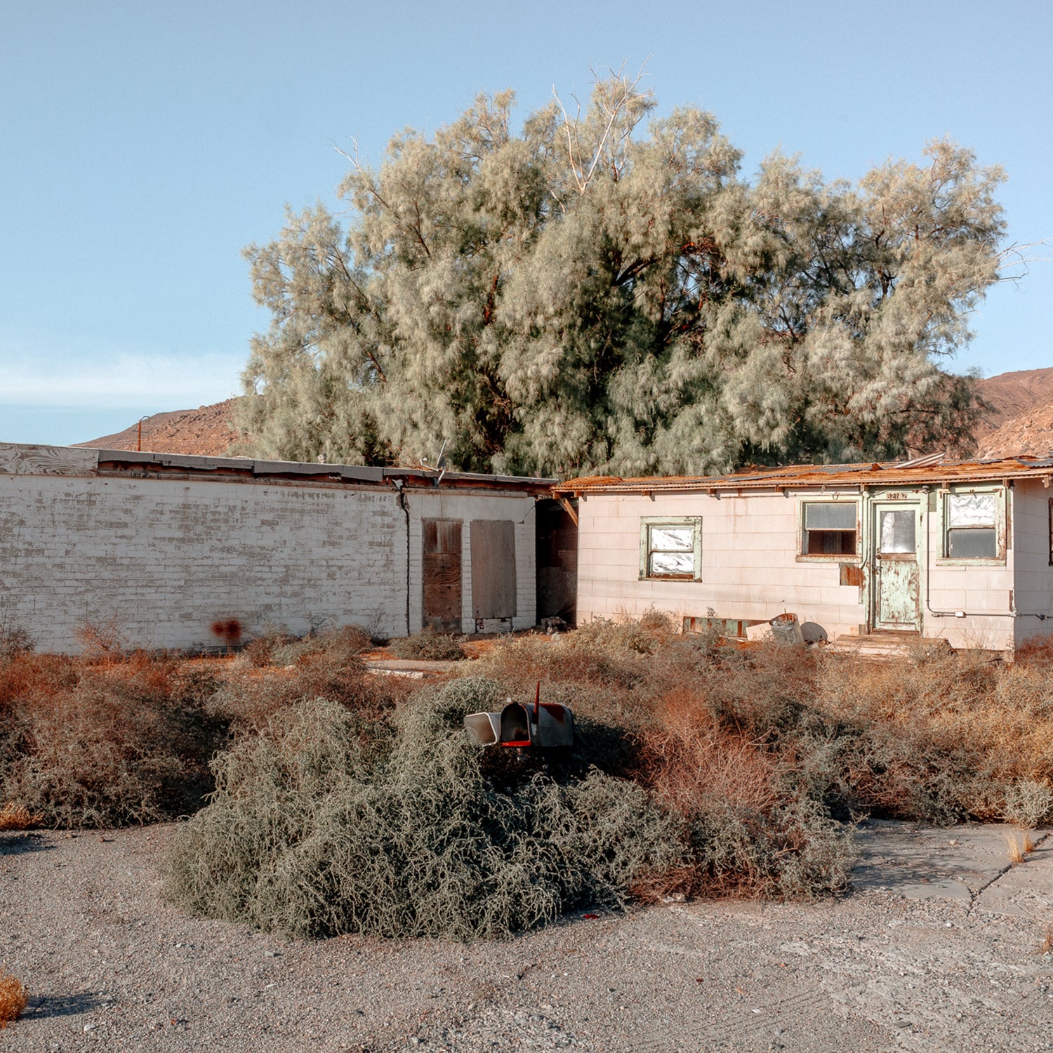 Сцена з пустелі Мохаве