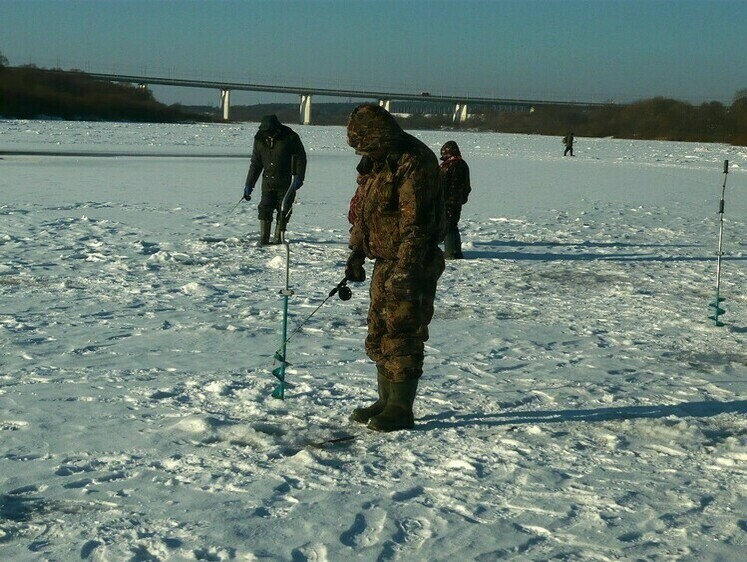 Вести від рибалок Калуги