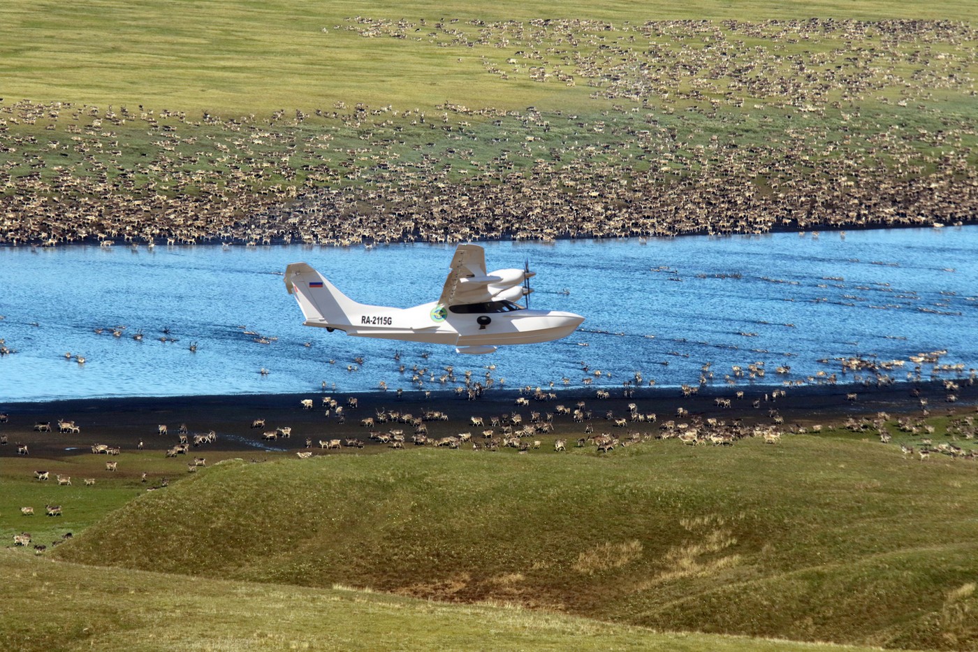 Край дикого північного оленя: від колишньої великої кількості до нагальної потреби