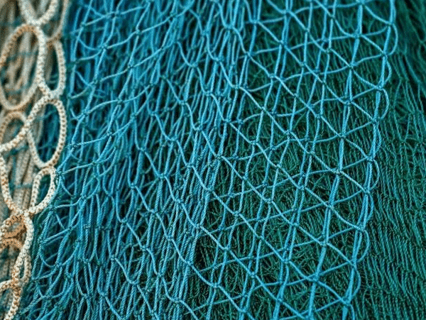 Виловіть більше з надійними сітками від інтернет-магазину «Одесснасть»