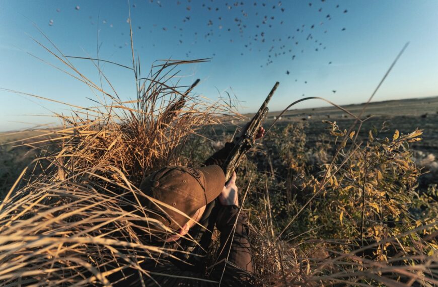 Прообраз рушниці майбутнього? Beretta АХ800