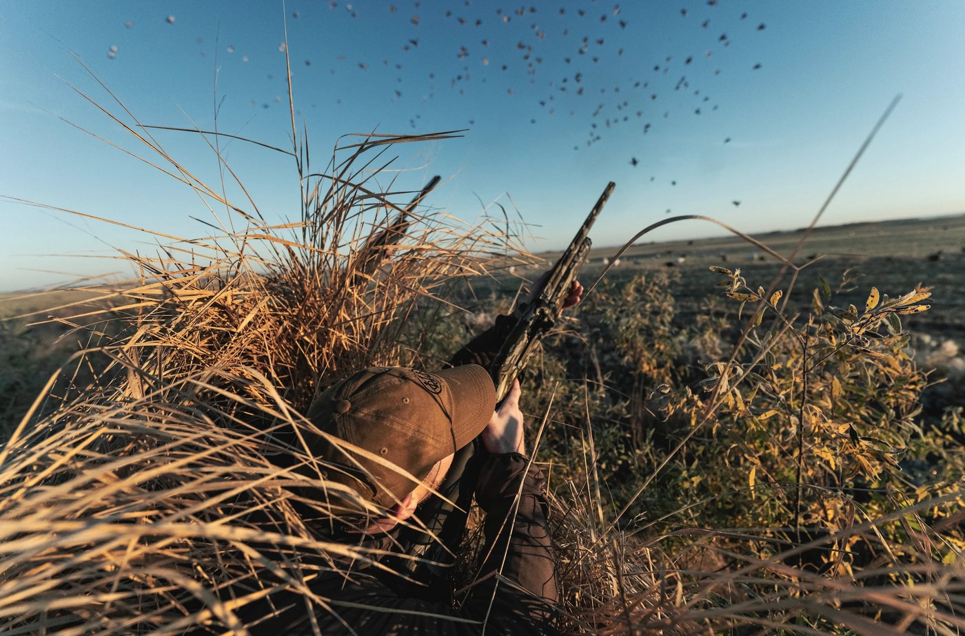 Прообраз рушниці майбутнього? Beretta АХ800