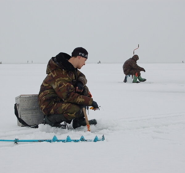 Зграйний окунь середини зими (закінчення)