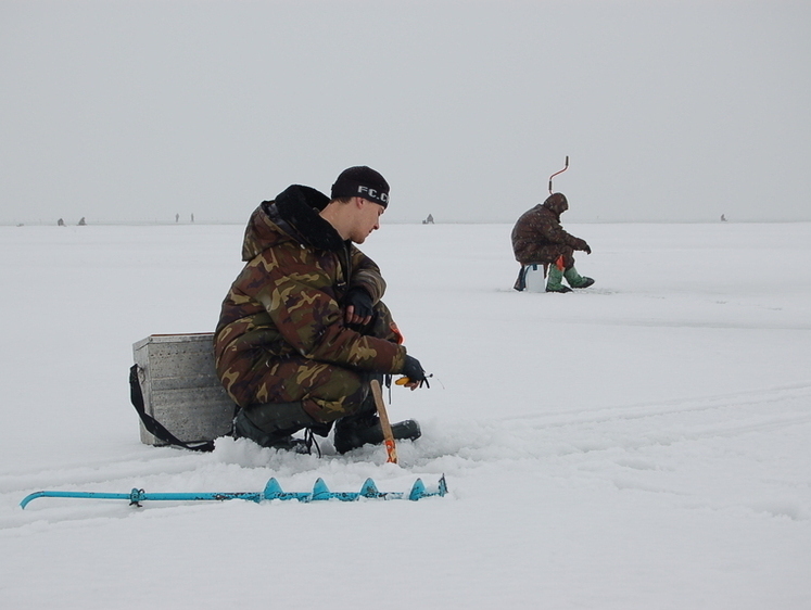 Зграйний окунь середини зими (закінчення)