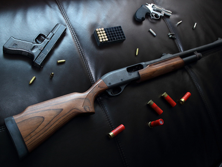 Новий закон. Про перевірки зберігання зброї та патронів громадянами Росії