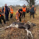 Сигнальний жилет на полюванні: забаганка чи необхідність?